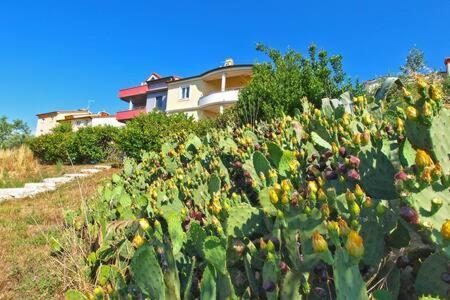 Villa Lucija Пула Экстерьер фото